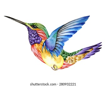 Hummingbird tattoo  watercolor painting