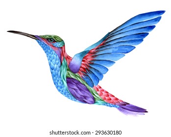 Hummingbird tattoo  watercolor painting  Isolated white