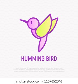 Hummingbird thin line icon. Modern vector illustration of bird.
