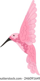 Hummingbird Tropical Bird Vector Illustration