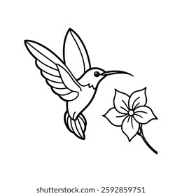 hummingbird with tropical flowers line art