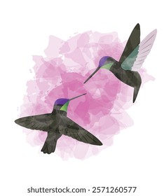 Hummingbird Valentine Day Animal Symbol of Love Postcard Watercolor Vector Illustration