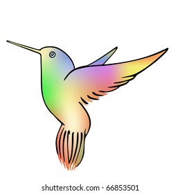 hummingbird - vector