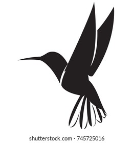 Hummingbird Vector Art