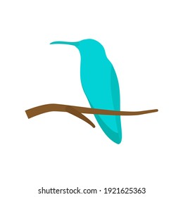 Hummingbird vector art and graphics