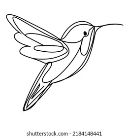 Hummingbird vector back and white line drawing