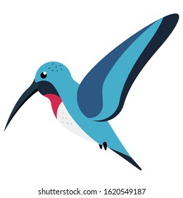 Hummingbird vector cartoon illustration isolated on a white background.