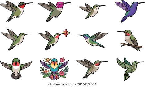 Hummingbird vector collection featuring colorful flying ruby-throated hummingbirds perched garden birds and tropical hibiscus blossom stickers.