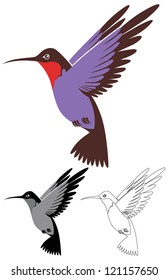 hummingbird vector, color is changeable