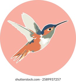 hummingbird vector with cute style 