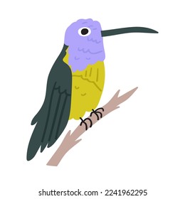 Hummingbird. Vector flat hand drawn illustration on white background.