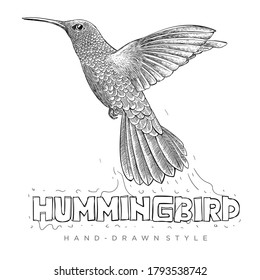 vector colibrí en vuelo. ilustración de animales dibujada a mano