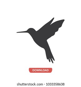 Hummingbird vector icon