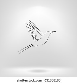 hummingbird vector icon