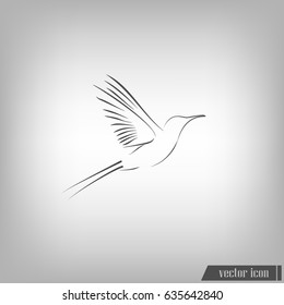 hummingbird vector icon