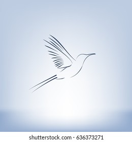 hummingbird vector icon