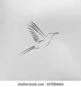 hummingbird vector icon