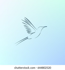 hummingbird vector icon