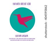 Hummingbird vector icon. Bird simple isolated sign silhouette.