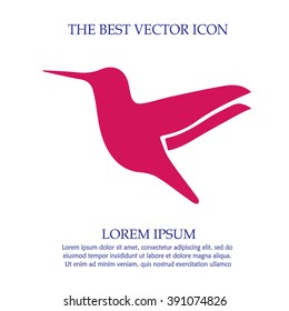 Hummingbird vector icon. Bird simple isolated sign silhouette.