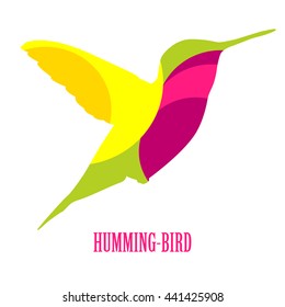 Hummingbird vector icon. Hummingbird logo symbol.