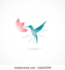 Hummingbird - vector illustration