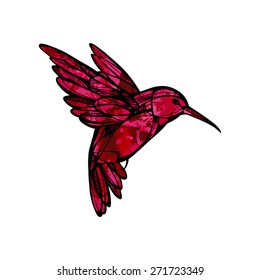 Humming-bird. Vector illustration.