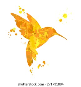 Hummingbird. Vector illustration