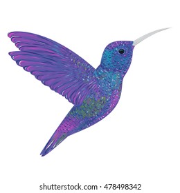 Hummingbird. Vector illustration