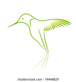 Hummingbird. Vector illustration.