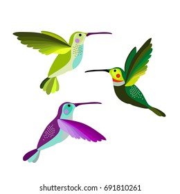 Hummingbird vector illustration bird, colibri birds set.