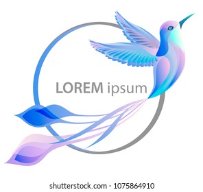 Hummingbird. Vector illustration of Colibri Bird