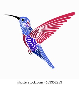 hummingbird vector illustration design