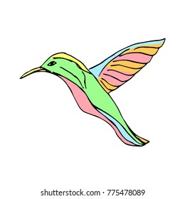 Hummingbird vector illustration. Doodle style. Design, print, decor, textile, paper
