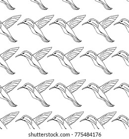 Hummingbird vector illustration. Doodle style. Design, print, decor, textile, paper