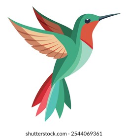 Hummingbird Vector Illustration on White Background