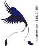 Hummingbird, vector  isolated