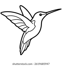 Hummingbird vector line art on white background