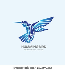 hummingbird vector logo design template