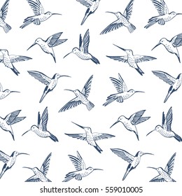 hummingbird vector pattern