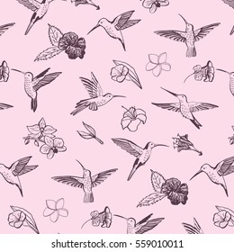 hummingbird vector pattern