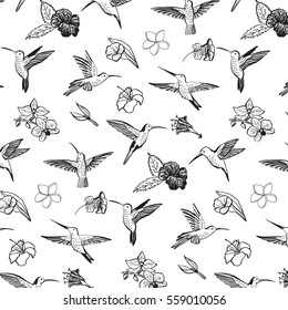 hummingbird vector pattern