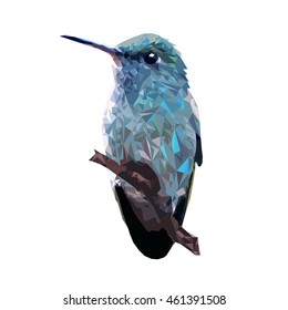 hummingbird vector pattern. Blue polygon, bird is sitting on a twig