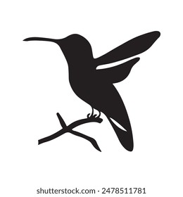 hummingbird vector silhouette design on white background 