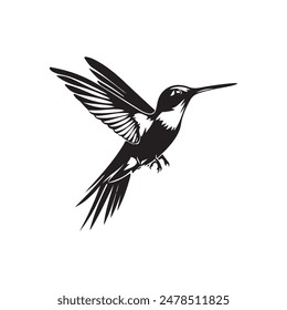 hummingbird vector silhouette design on white background 