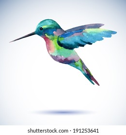 Hummingbird, watercolor painting
