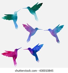Hummingbird, watercolor painting
