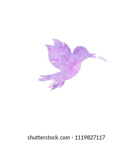 Hummingbird watercolor silhouette isolated on white