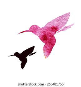 hummingbird watercolor symbol vector illustration