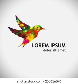 hummingbird watercolor. Vector